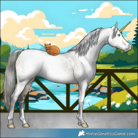 Horse Color:Gray White Spotted Brown Ice Pearl Dun Brindle
