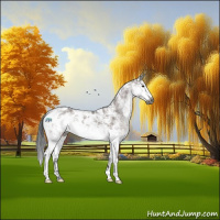 Horse Color:Gray Platinum Buckskin Dun Sabino Blanket 