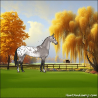 Horse Color:Gray Platinum Buckskin Dun Sabino Appaloosa 