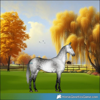 Horse Color:Gray Void Platinum White Spotted Brown Dun Appaloosa Rabicano 