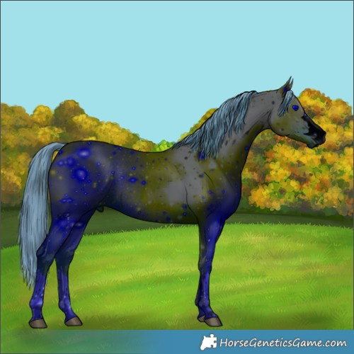 Horse Color:ERROR: UNKNOWN ANOMALY