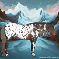 Horse Color:White Spotted Liver Chestnut Mushroom Appaloosa 