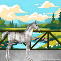 Horse Color:White Spotted Chocolate Silver Blue Onyx Chinchilla Ice 