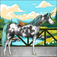 Horse Color:Painted White Spotted Midnight Chocolate Silver Blue Onyx Chinchilla Sabino 