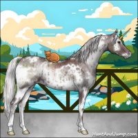 Horse Color:White Spotted Chocolate Silver Blue Onyx Chinchilla 