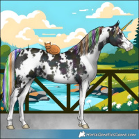 Horse Color:Painted White Spotted Midnight Chocolate Silver Blue Onyx Chinchilla Ice Sabino