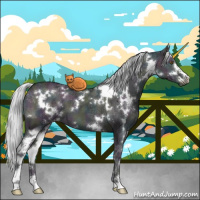 Horse Color:White Spotted Midnight Silver Grullo Chinchilla Ice Onyx Sabino 