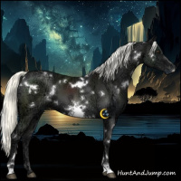 Horse Color:White Spotted Liver Chestnut Ice Mushroom