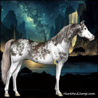 Horse Color:White Spotted Liver Chestnut Ice Sabino Splash 