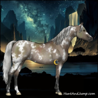 Horse Color:White Spotted Liver Red Dun Mushroom Rabicano 