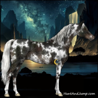 Horse Color:White Spotted Liver Chestnut Ice Mushroom 