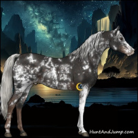 Horse Color:White Spotted Liver Chestnut Mushroom 