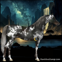 Horse Color:White Spotted Liver Chestnut Ice Mushroom 