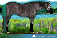 Horse Color:Void Plaid  Liver Red Dun Roan Onyx Sabino Brindle 