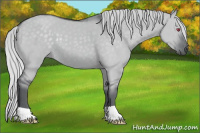 Horse Color:Silver Grullo Chinchilla 