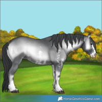 Horse Color:Blue Onyx Chinchilla Sabino 