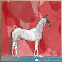 Horse Color:Liver Red Roan Tobiano 