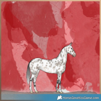 Horse Color:Brown Roan Dun Appaloosa Brindle