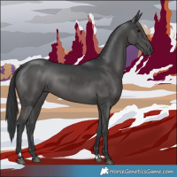 Horse Color:Black 