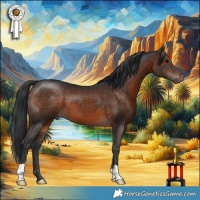 Horse Color:Brown 
