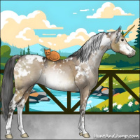 Horse Color:Gray White Spotted Buckskin Ice Dun Mushroom Sabino 