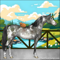 Horse Color:Gray White Spotted Brown Dun Sabino Rabicano