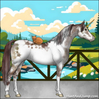 Horse Color:White Spotted Chocolate Brown Dun Sabino Frame Brindle