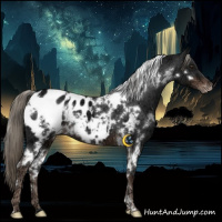 Horse Color:White Spotted Liver Chestnut Ice Mushroom Appaloosa 