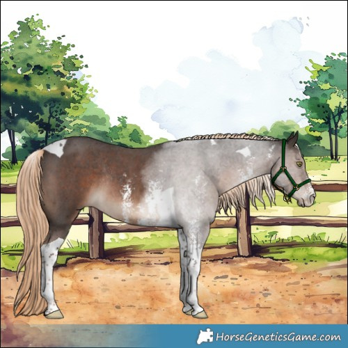 Horse Color:Liver Chestnut Sabino Tobiano Rabicano