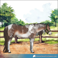 Horse Color:Liver Chestnut Sabino Tobiano 