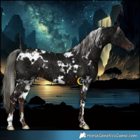 Horse Color:White Spotted Liver Chestnut Ice Mushroom 