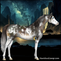 Horse Color:White Spotted Liver Chestnut Splash 