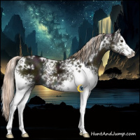 Horse Color:White Spotted Midnight Chocolate Palomino Splash 