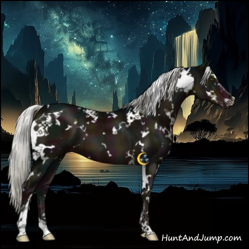 Horse Color:White Spotted Midnight Liver Chestnut Mushroom Sabino