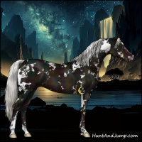 Horse Color:White Spotted Midnight Liver Chestnut Mushroom Sabino 