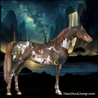Horse Color:White Spotted Liver Chestnut 