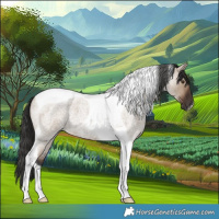 Horse Color:Liver Red Dun Roan Tobiano 