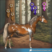 Horse Color:White Spotted Chocolate Palomino