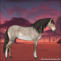 Horse Color:White Spotted Liver Red Dun Roan Rabicano 