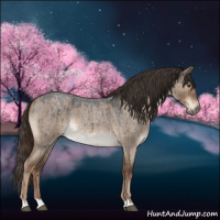 Horse Color:Liver Red Dun Roan Rabicano Brindle