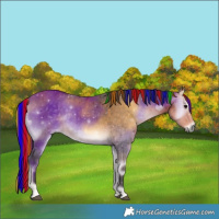 Horse Color:Painted Buckskin Onyx 