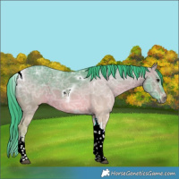 Horse Color:Watercolor White Spotted Bay Ice Dun Tobiano Frame Rabicano 