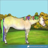Horse Color:Painted Silver Buckskin Onyx Rabicano 