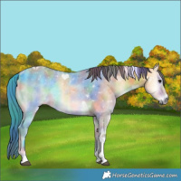 Horse Color:Nacre Buckskin Onyx Tobiano Rabicano 