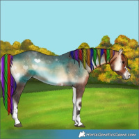 Horse Color:Painted Brown Onyx Rabicano 