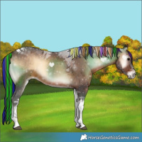 Horse Color:Painted Brown Onyx Tobiano Rabicano 