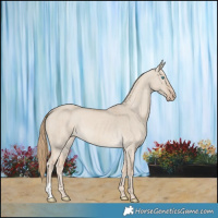 Horse Color:Smoky Creme Dun Brindle 