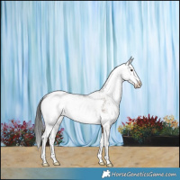 Horse Color:Liver Red Dun Sabino Blanket Brindle 
