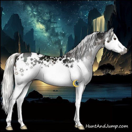 Horse Color:Gray White Spotted Liver Chestnut Ice Mushroom Splash