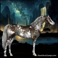 Horse Color:White Spotted Liver Red Onyx Ice Mushroom Sabino